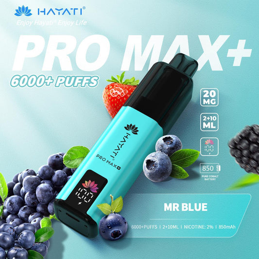 Hayati Pro Max+ 6000 Puffs Vape Kit - Mr Blue